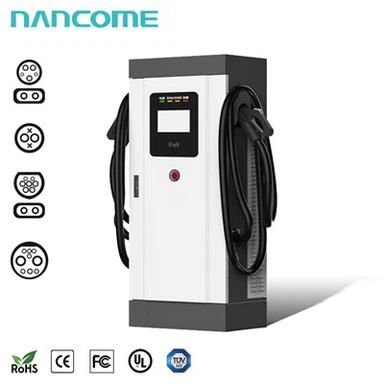 EV Charging Double Gun